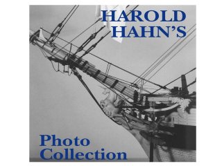 Фотографии моделей Harold Hanh